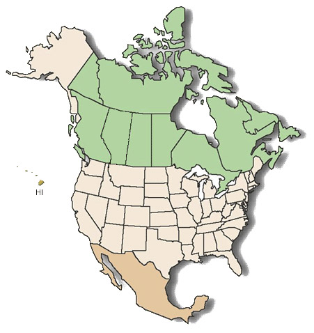 north america map